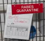 Rabies quarantine sign