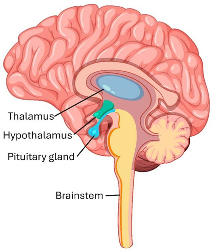 “I Learned Something New Today”